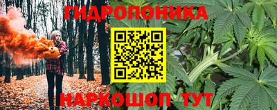 гашик Можга
