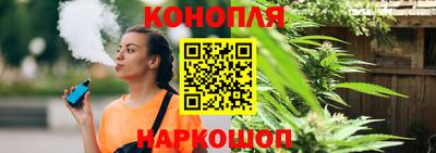гашик Моздок