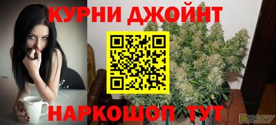 гашик Моздок