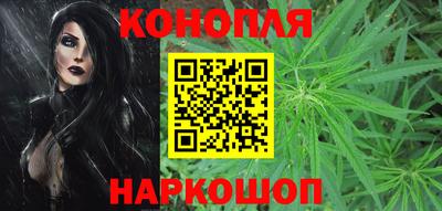 гашик Моздок