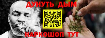 гашик Моздок