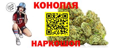 гашик Можга