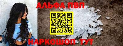 гашик Моздок