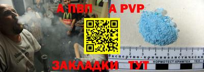 гашик Моздок